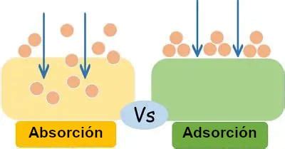 Esquema comparativo entre la absorción radicular limitada por suelo seco y la absorción foliar directa