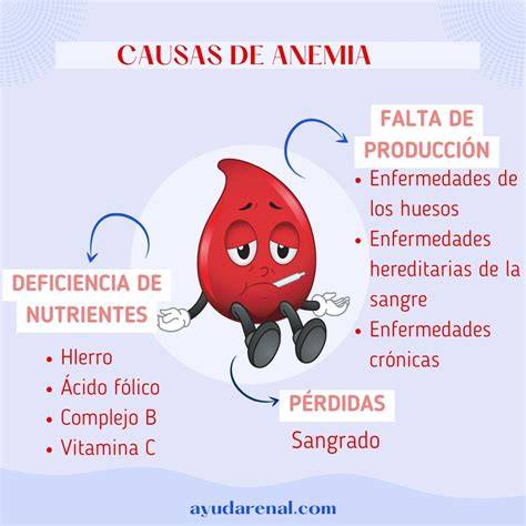 Infografía que muestra las causas comunes de la anemia ferropénica y sus principales síntomas.