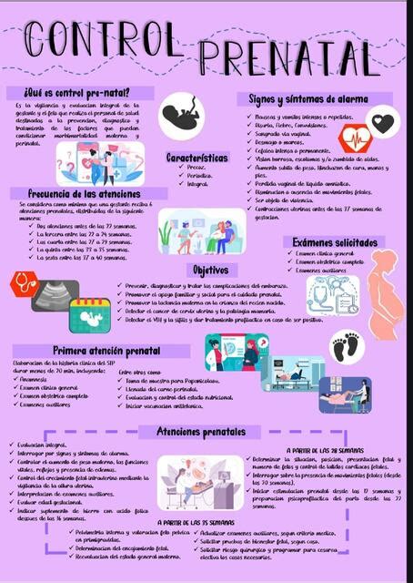 Infografía: Las cinco razones principales aducidas por las pacientes para un control prenatal insuficiente o nulo.