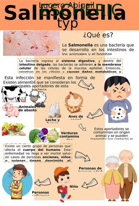 Infografía sobre los riesgos de la salmonella en aves y la importancia de la cocción adecuada
