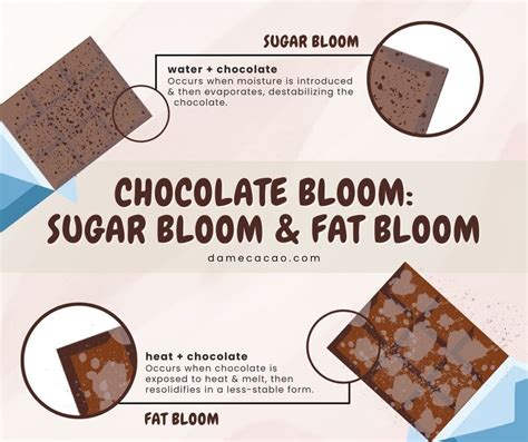 Primer plano de chocolate con evidentes signos de fat bloom, mostrando una textura mate y blanquecina.