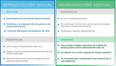 Tabla comparativa de ventajas y desventajas entre reproducción sexual y asexual
