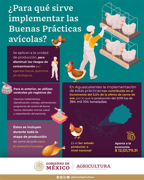 Esquema de buenas prácticas en la cría de terneras: higiene, alimentación, espacio