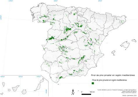 Mapa de distribución geográfica del Pinus pinaster en la Península Ibérica
