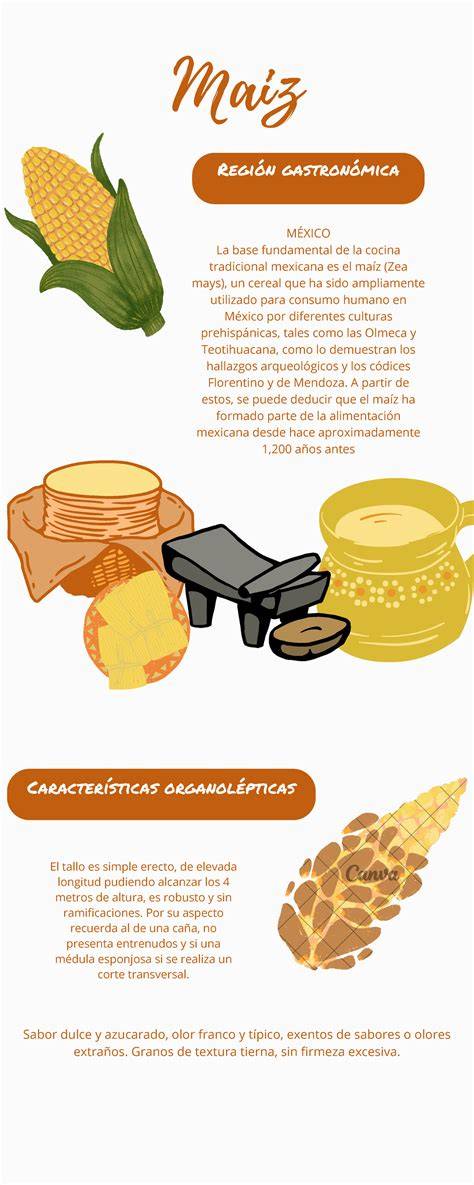 Infografía sobre los beneficios nutricionales del mijo para bebés