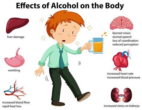 Esquema sobre los efectos del alcohol en el desarrollo fetal