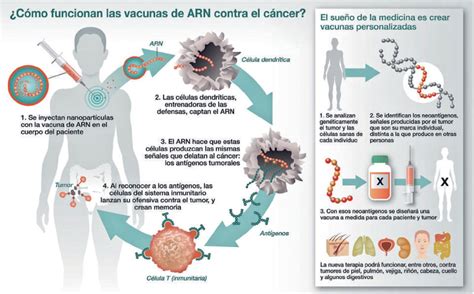 Infografía comparativa: diferencias entre las vacunas de ARNm y las de subunidades proteicas.