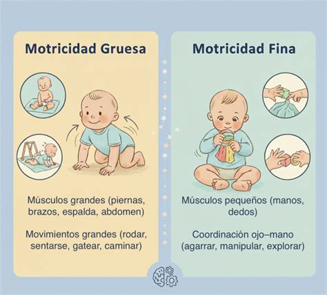Infografía: Diferencia entre motricidad fina y gruesa en bebés