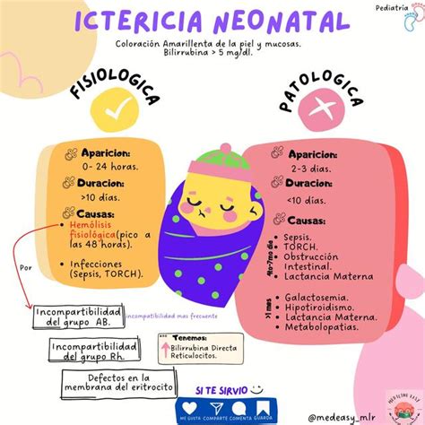 Infografía detallando las diferentes causas de ictericia neonatal.