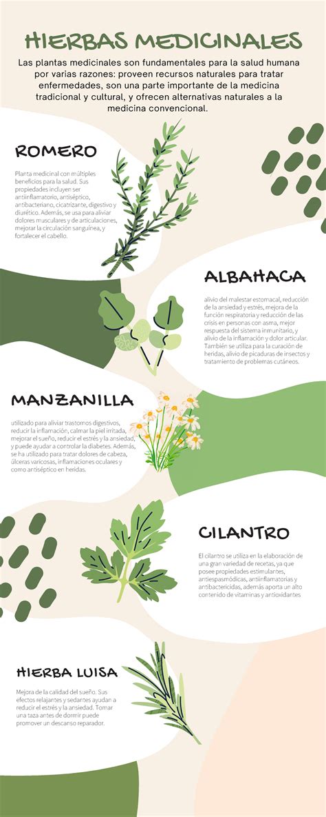 Infografía: Plantas medicinales estudiadas para la fertilidad masculina (apio, maca, jengibre, dátil)