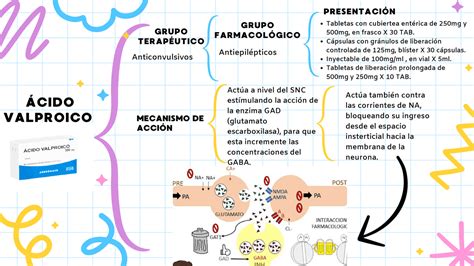 Esquema del mecanismo de acción del ácido valproico a nivel neuronal
