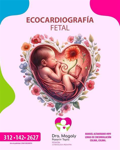 Infografía: Posibles problemas detectados por ecocardiograma fetal y sus tratamientos