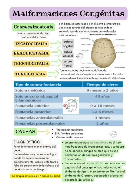 Tabla con factores de riesgo para malformaciones congénitas