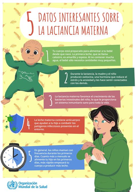 infografía sobre los derechos de lactancia y cómo se aplica en diferentes modalidades de trabajo
