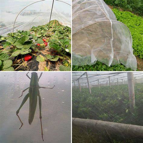 Esquema de las diferentes estrategias de protección contra insectos para bebés