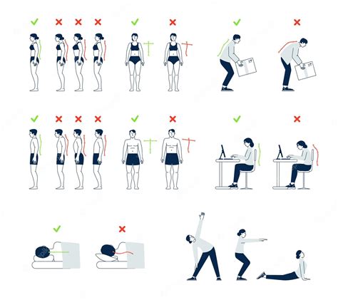 Infografía mostrando la postura correcta e incorrecta al sentarse y cómo afecta al psoas.