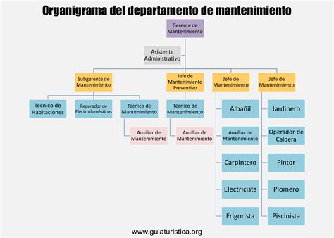 Organigrama del Departamento de Gineco-obstetricia.