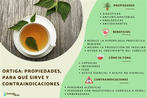 Infografía: Propiedades medicinales y nutricionales de la ortiga
