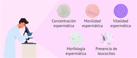 microscopio analizando un seminograma