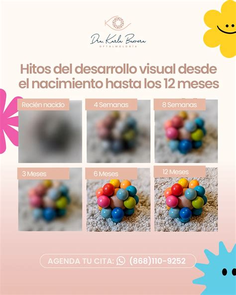 Esquema del desarrollo visual infantil por edad