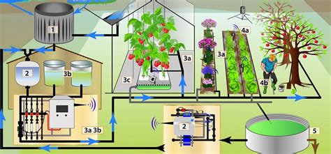 Esquema: Comparación de métodos de aplicación de fertilizantes: banda, pop-up, foliar y fertirrigación.