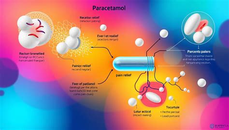 Esquema explicativo de la acción farmacológica del paracetamol sobre el centro termorregulador y la inhibición de prostaglandinas.