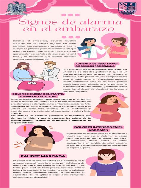 Infografía: Signos de embarazo en cobayas