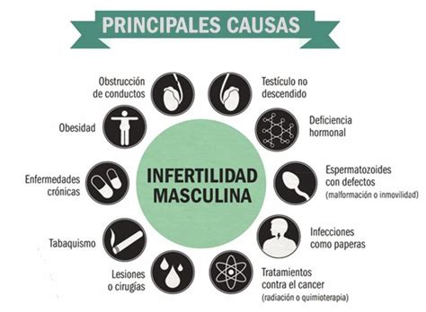 Infografía: Causas y factores de riesgo de la infertilidad masculina