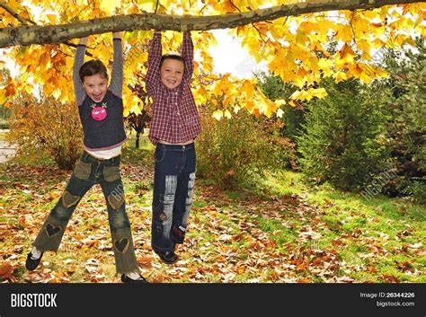 Foto de niños colgando chupetes en un árbol decorado