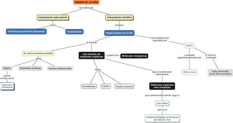 Esquema cronológico sobre el origen de los chupetes y la tradición del árbol