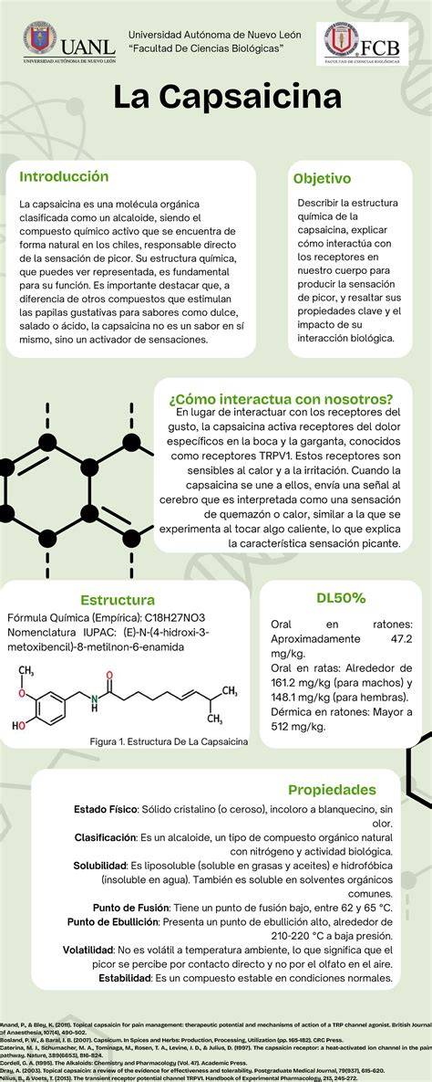 Infografía: Estructura química de la capsaicina y sus derivados