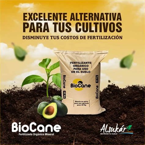 Infografía detallando la composición y beneficios de cada tipo de fertilizante orgánico