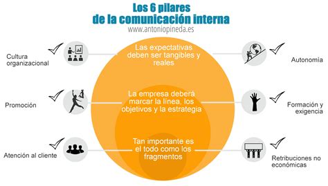 Infografía sobre los pilares de la comunicación médico-paciente y la humanización de la medicina