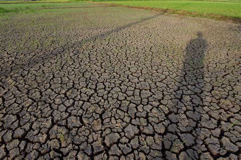 Foto de suelos degradados en el África subsahariana