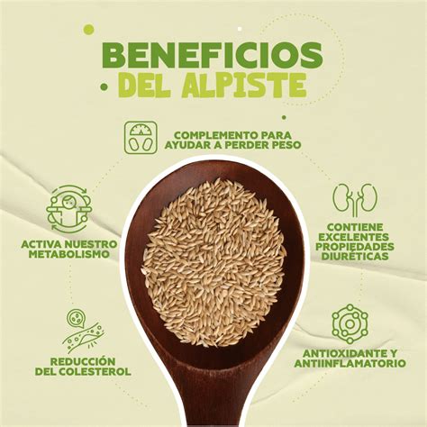 Infografía que muestra la composición nutricional del alpiste: proteínas, fibra, omegas y minerales.