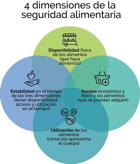 Esquema de seguridad alimentaria: diferencia visual entre alpiste apto para consumo humano (etiquetado) y alpiste para aves.