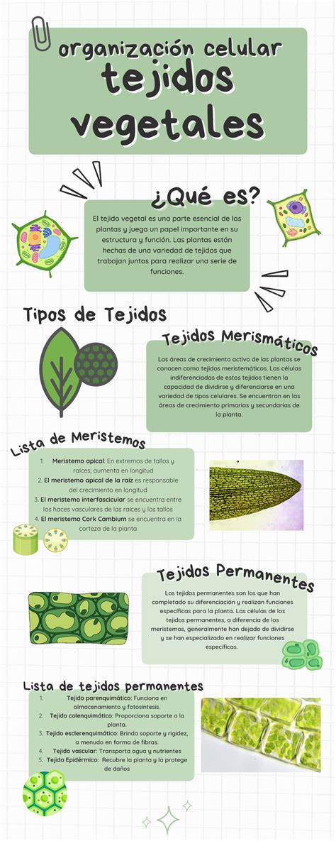 Infografía sobre tipos de tejidos seguros para ropa de bebé (algodón orgánico, certificado OEKO-TEX, telas transpirables)