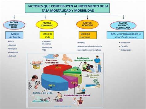 Esquema: Factores que contribuyen al déficit y intrusismo en la profesión de matrona
