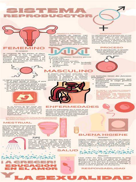 Esquema o infografía del sistema HERO de Recaro mostrando la protección en cabeza, cuello y hombros.