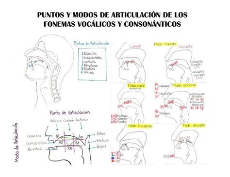Infografía comparativa que muestra los puntos de articulación y los componentes electrónicos del modulador de voz en el interior del casco.