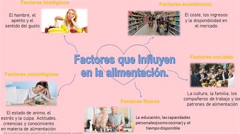 Esquema de los factores que influyen en la alimentación infantil: biológicos, conductuales y ambientales.