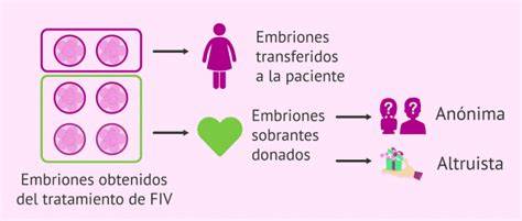 Esquema ilustrativo del proceso de adopción de embriones, desde la donación hasta la transferencia