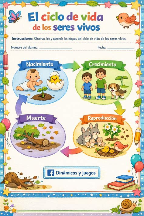 Infografía: Ciclo de vida de los embriones en FIV y opciones de destino, incluyendo la donación