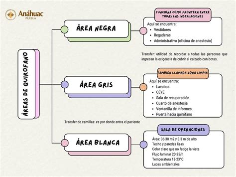 Esquema de las áreas de actuación de Umamanita: investigación, formación sanitaria, apoyo a familias y concienciación social.