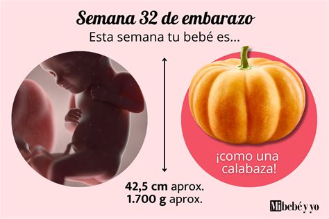 Bebé de 32 semanas de gestación en el útero