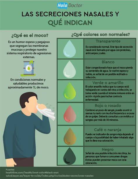 Infografía del proceso de hipersecreción y acumulación de moco en las vías respiratorias