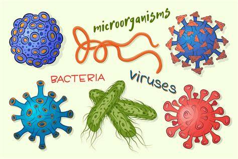 Ilustración de microorganismos patógenos que afectan las vías respiratorias de las aves