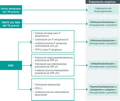 Esquema de las principales opciones de tratamiento para tapones mucosos en vías respiratorias