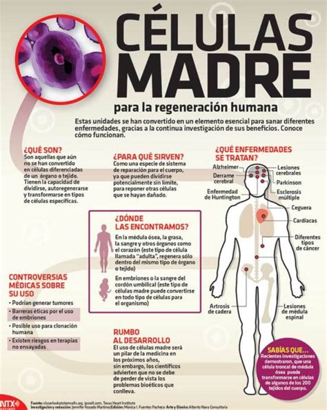 Infografía sobre las propiedades y usos de las células madre del cordón umbilical