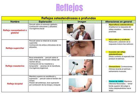 Diagrama de las pruebas de reflejos para la evaluación nerviosa